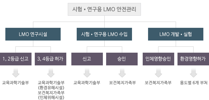 시험ㆍ연구용 LMO 안전관리